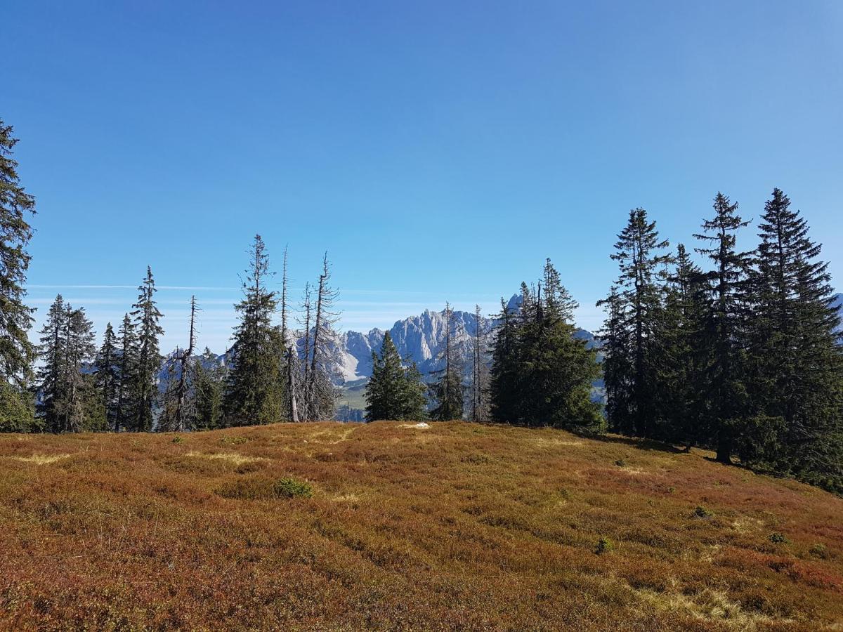 Fesengut Otel Annaberg im Lammertal Dış mekan fotoğraf