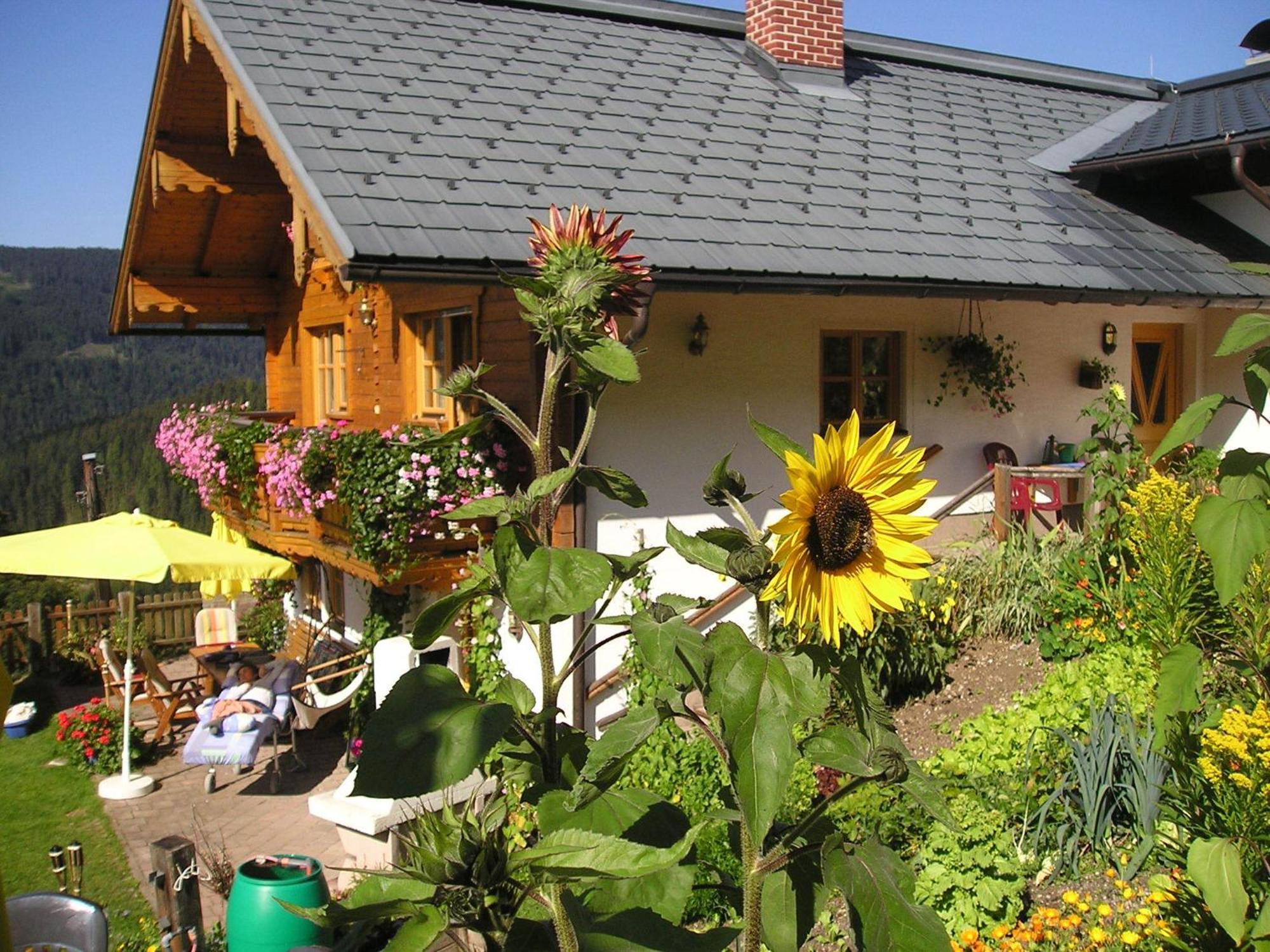 Fesengut Otel Annaberg im Lammertal Dış mekan fotoğraf