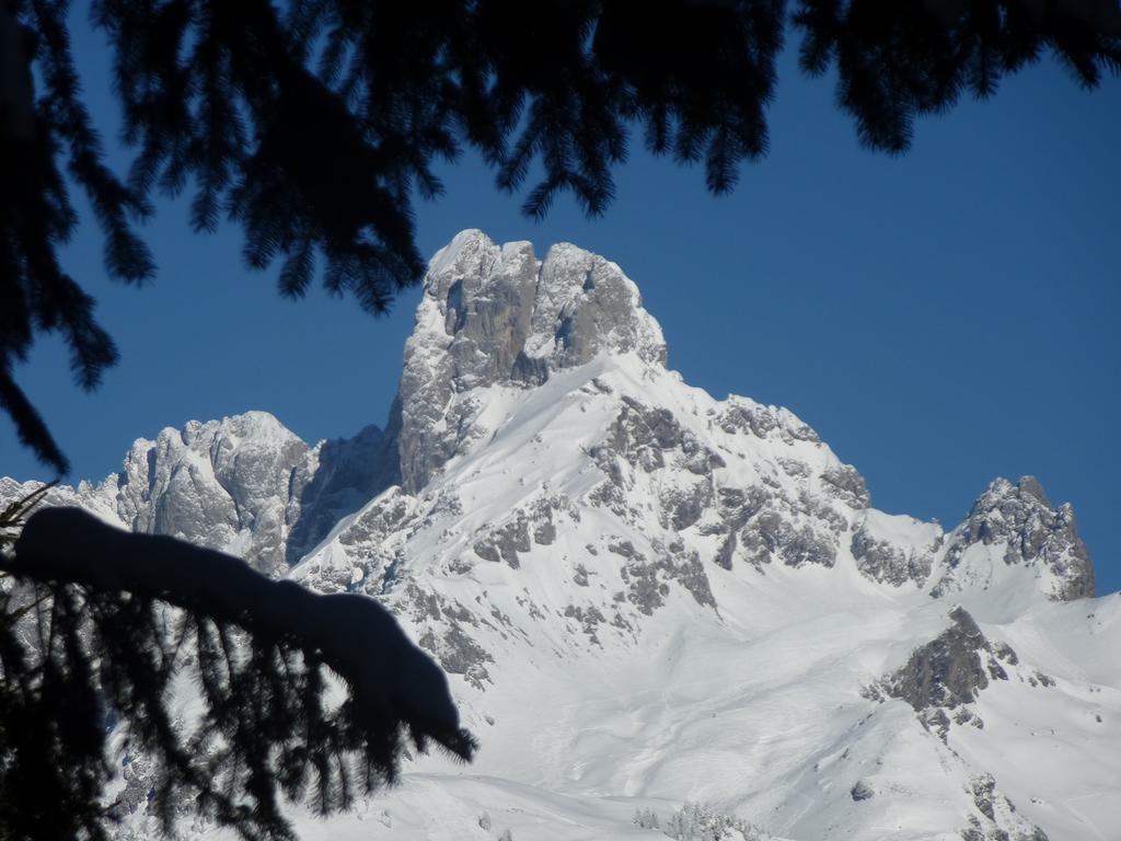 Fesengut Otel Annaberg im Lammertal Dış mekan fotoğraf